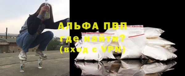 стафф Алексин