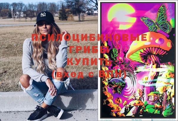стафф Алексин